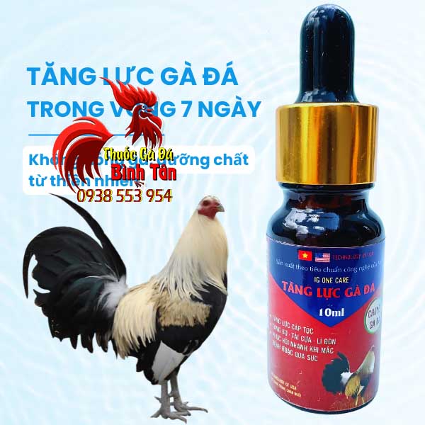 Tăng Lực Cấp Tốc Cho Gà Đá, Hiệu Quả Nhanh Không Gây Nóng Hư Hại Gà