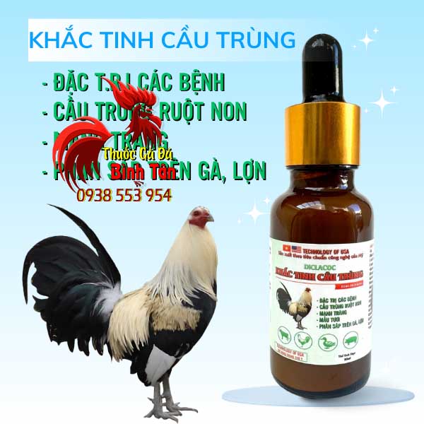 Diclacoc - Khắc Tinh Cầu Trùng giải pháp đặc trị hiệu quả bệnh cầu trùng cho gà chọi, gà đá.