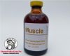 thuoc-nuoi-ga-da-muscle-cua-mexico-giup-tang-co-tang-can-hieu-qua-chai-10ml - ảnh nhỏ 2