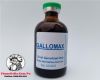 thuoc-nuoi-ga-da-gallomax-bo-sung-vitamin-cung-cap-nang-luong-hieu-qua-nhat-thi-truong-den-tu-mexico-chai-100ml - ảnh nhỏ 2